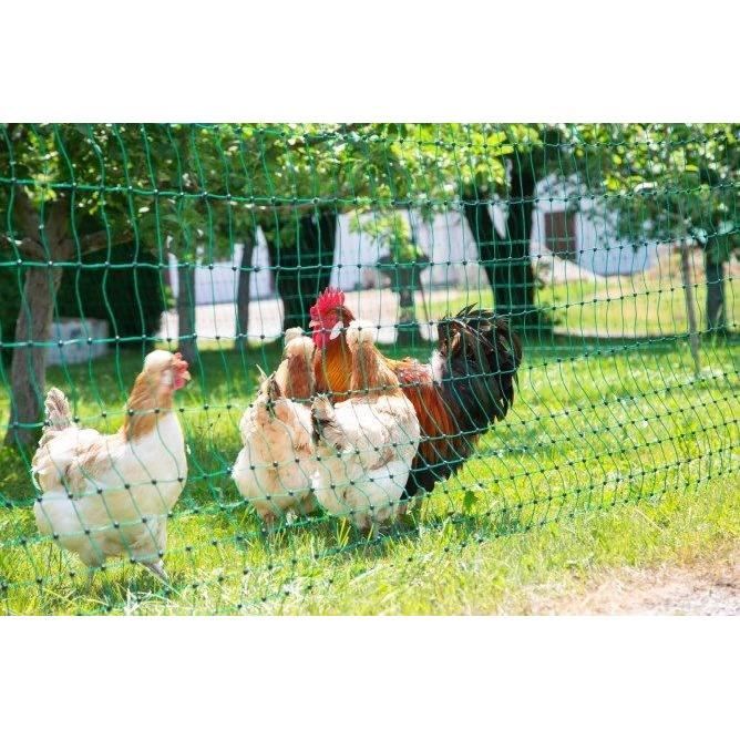 Poultry net - KERBL - 25 m - 106 cm - Double point - Green