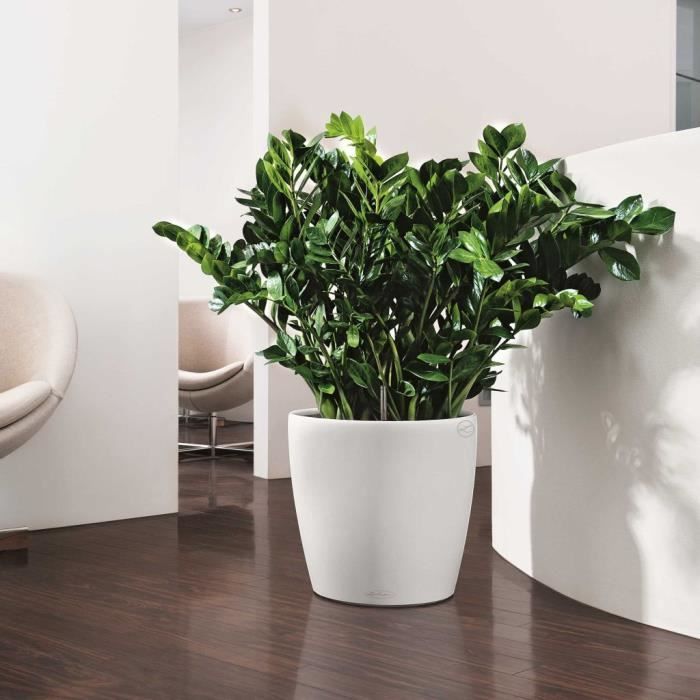 LECHUZA Jardiniere Classico Color 43 ALL-IN-ONE White 13230