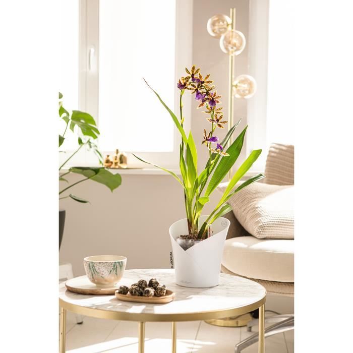 LECHUZA Planter ORCHIDEA ALL-IN-ONE Matt white