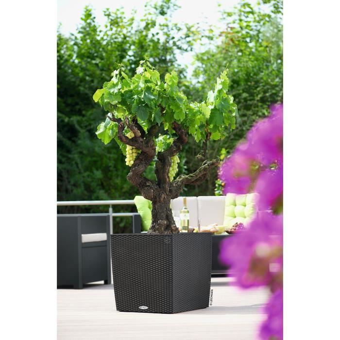 LECHUZA CUBE Cottage 50 Planter - Granite - Automatic Watering - 61L - Wicker Design