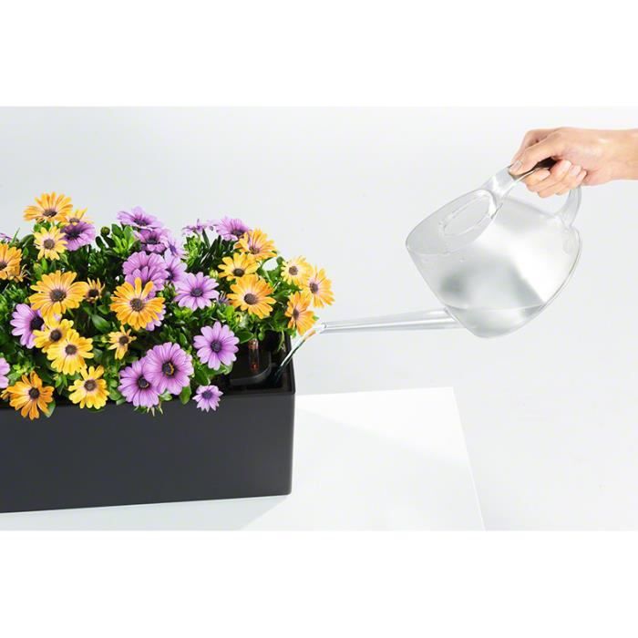 Potted Planting Kit - LECHUZA - BALCONERA 50 - Polypropylene - Brown - Indoor & Outdoor