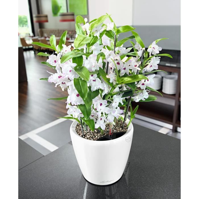 Planter - LECHUZA - CLASSICO Premium 21 LS - Glossy white - Automatic watering - Indoor/outdoor
