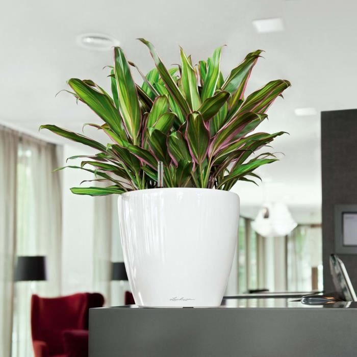 Jardiniere - Classico premium LS 28 - Complete kit - Glossy white - 7 L - LECHUZA