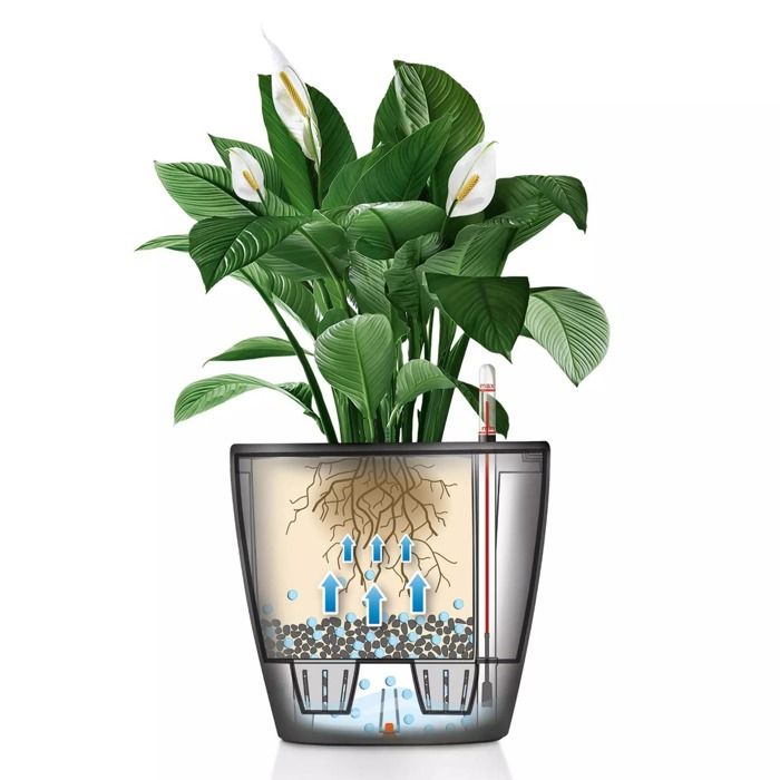 Planter - LECHUZA - Classico 35 LS ALL-IN-ONE - Glossy white - Irrigation system - 13 L