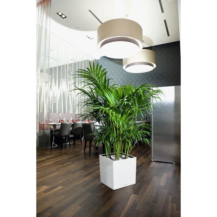 Planter - Cube premium 40 - Complete kit - Glossy white - 31 L - LECHUZA