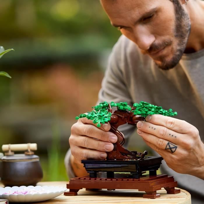 LEGO Creator Expert 10281 Bonsai Creative Hobby for Adults, DIY Botanical Decorating Kit