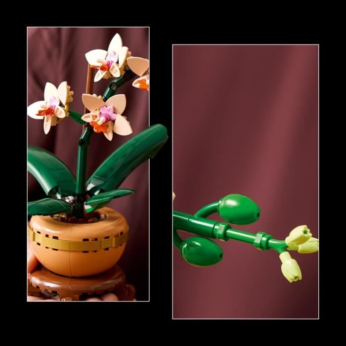 LEGO Botany 10343 Orchid Miniature - Artificial Flowers - Gift Idea for Women