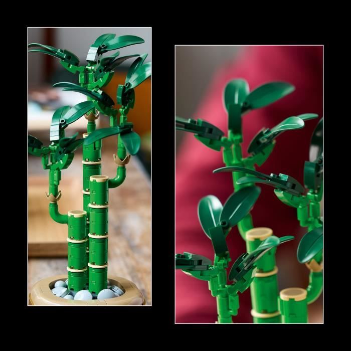LEGO Botany 10344 Lucky Bamboo - Artificial Plant and Home Decor
