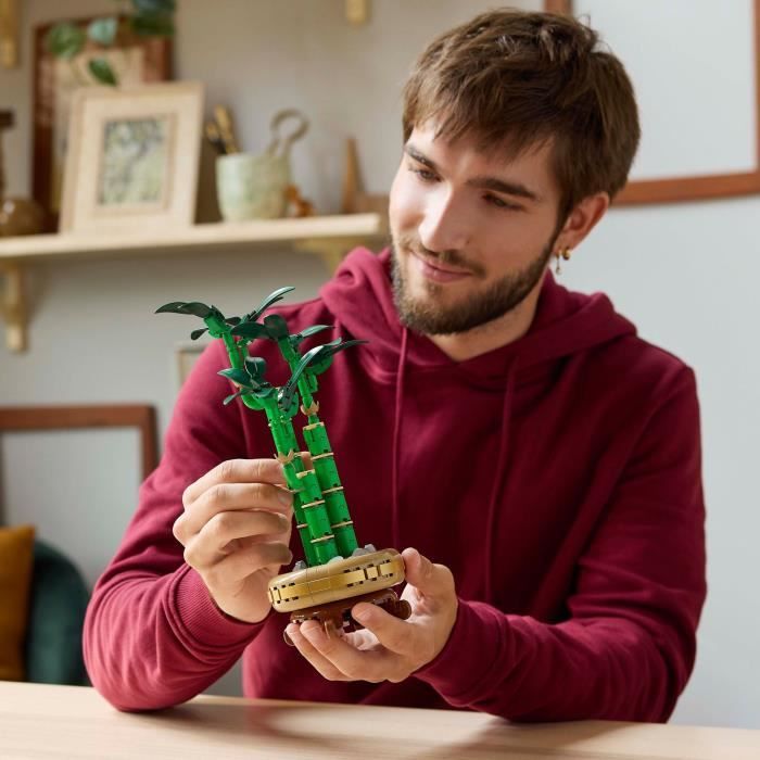 LEGO Botany 10344 Lucky Bamboo - Artificial Plant and Home Decor