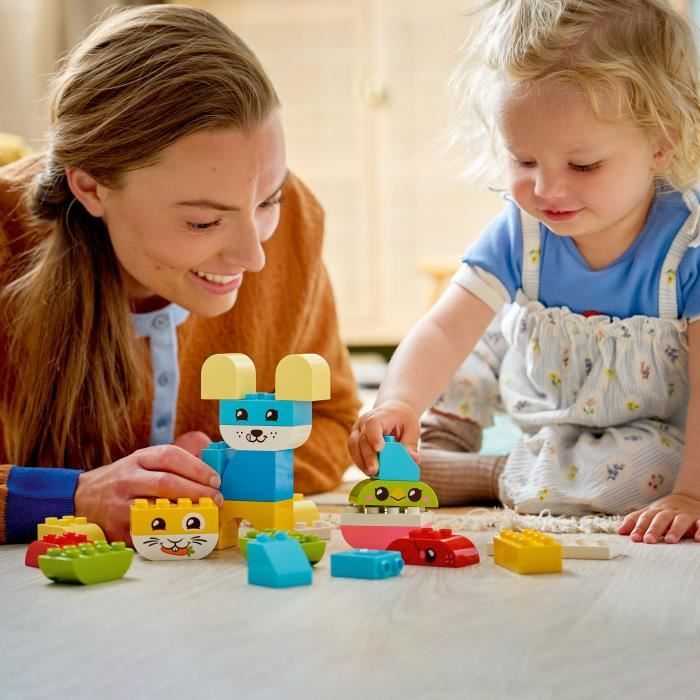 LEGO10477