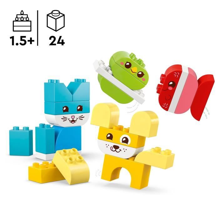 LEGO10477