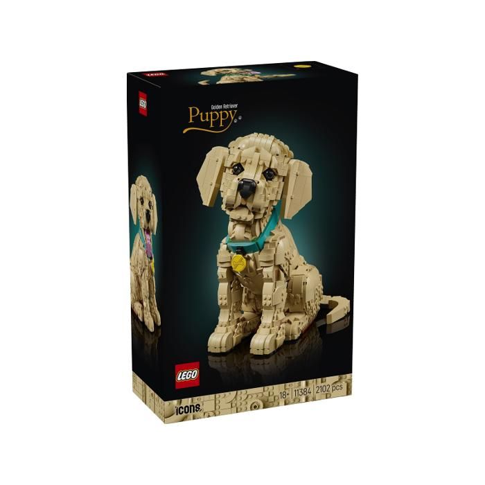 LEGO11384