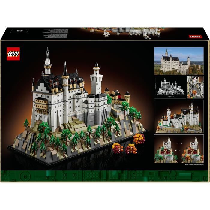 LEGO21063