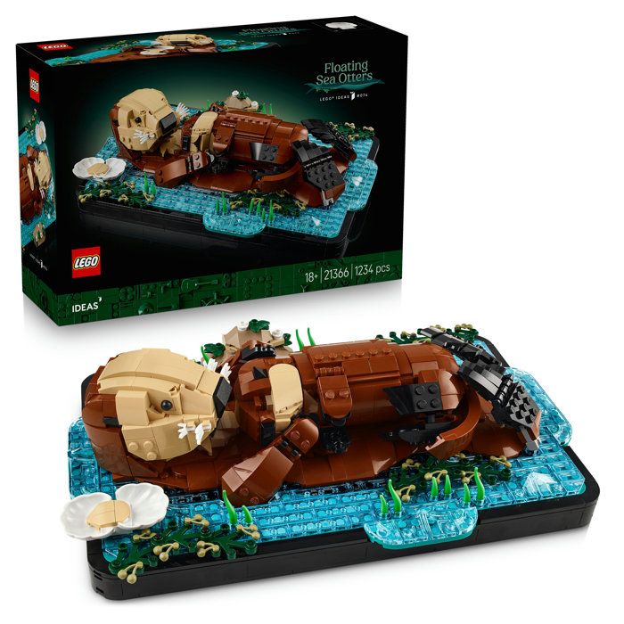 LEGO21366