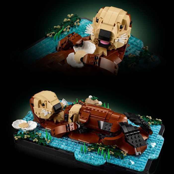 LEGO21366