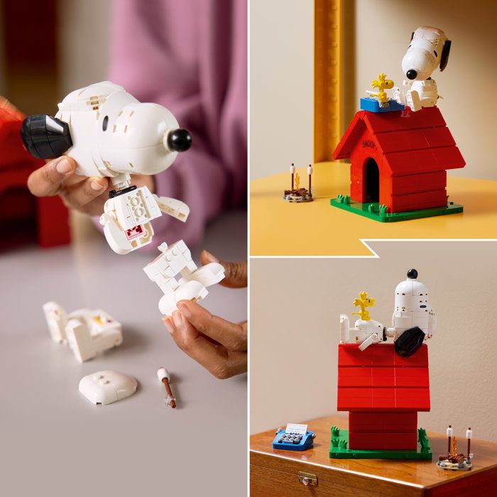 LEGO21368