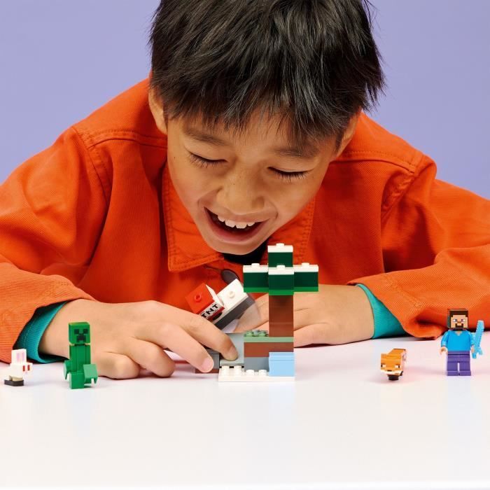 LEGO21583
