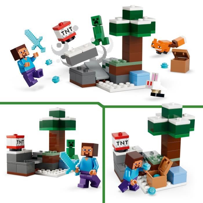 LEGO21583