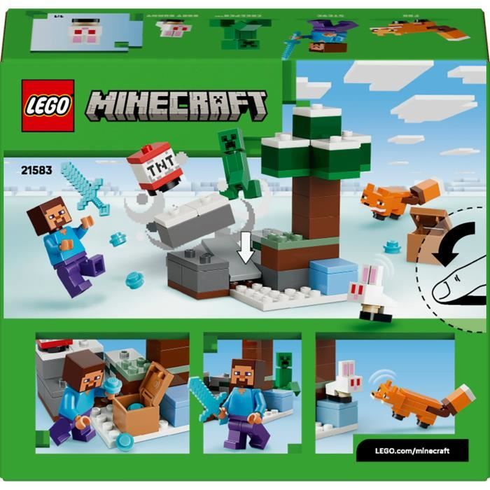 LEGO21583
