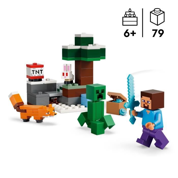 LEGO21583
