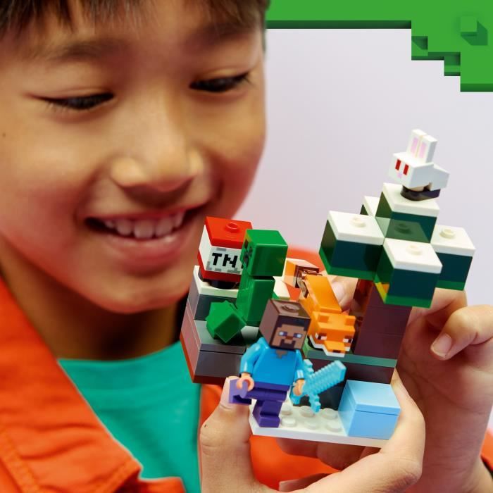 LEGO21583