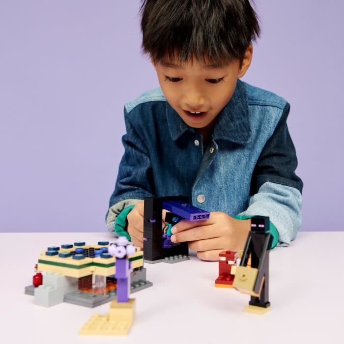 LEGO21584