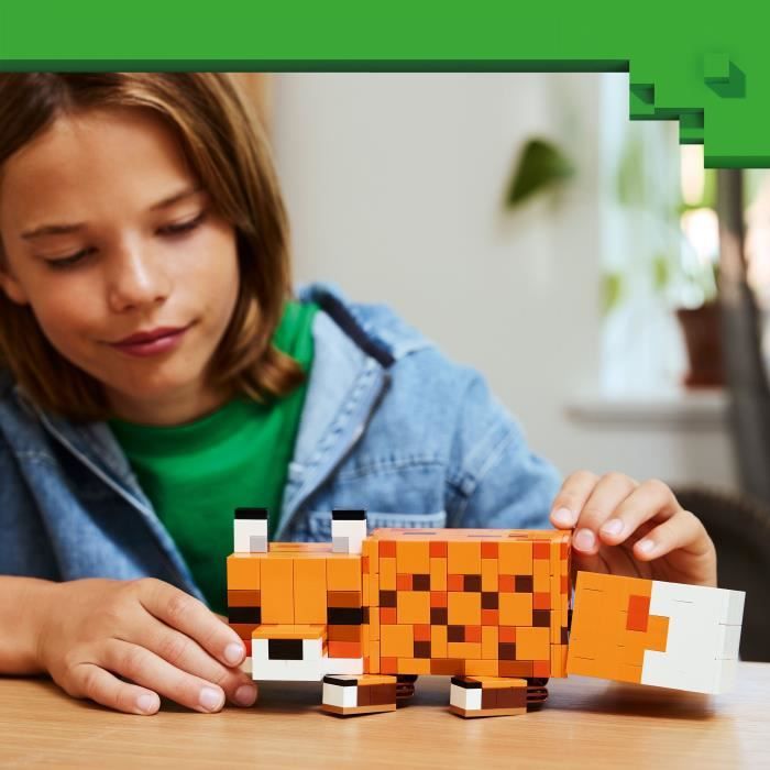 LEGO21588