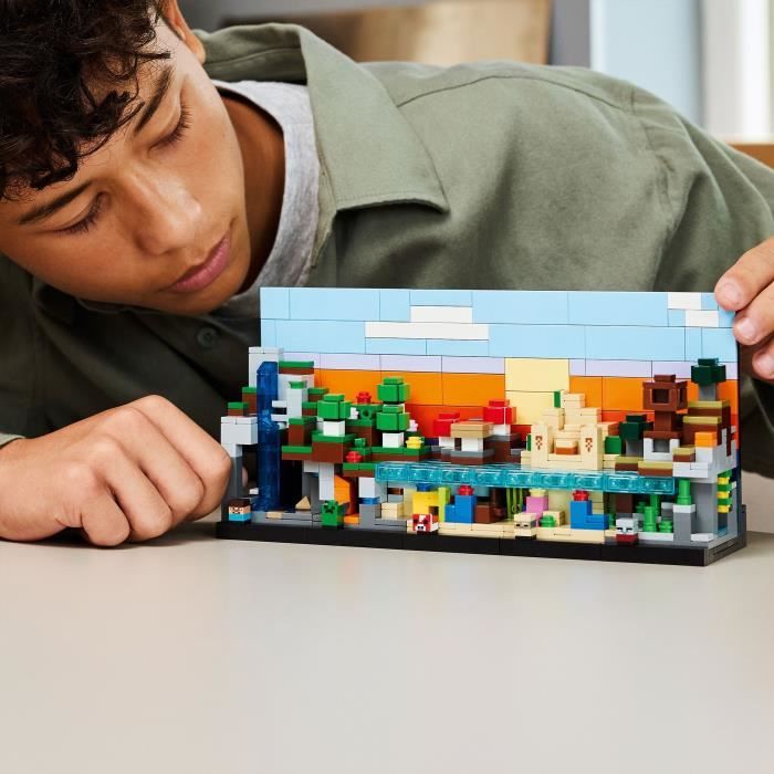 LEGO21589