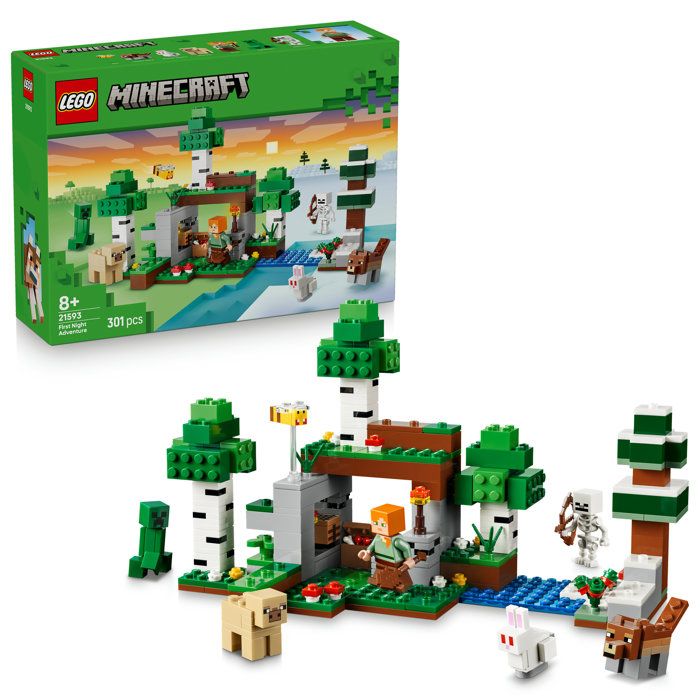 LEGO21593