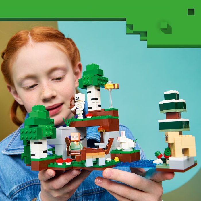 LEGO21593