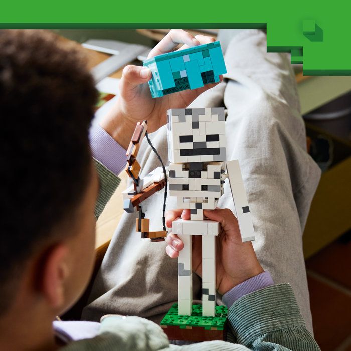 LEGO21594