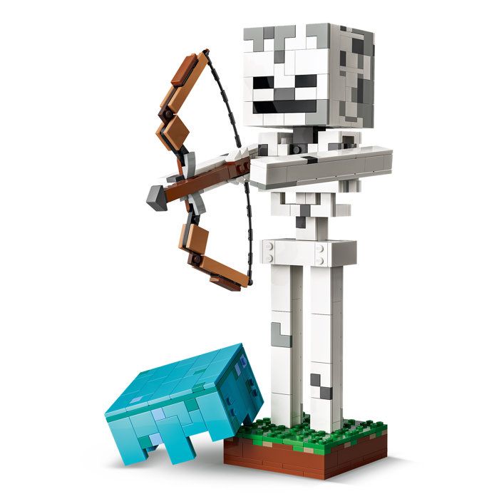 LEGO21594