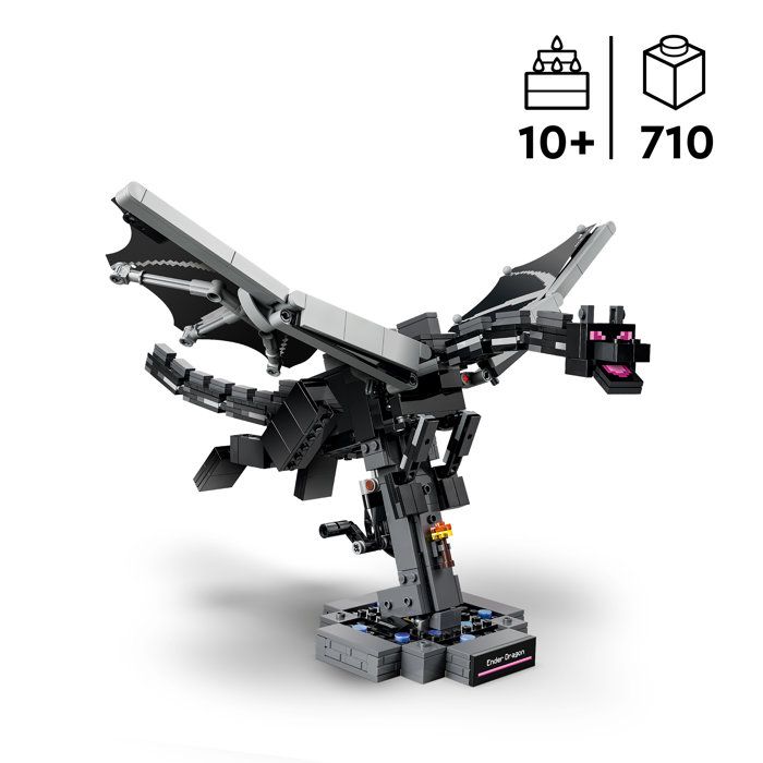LEGO21595