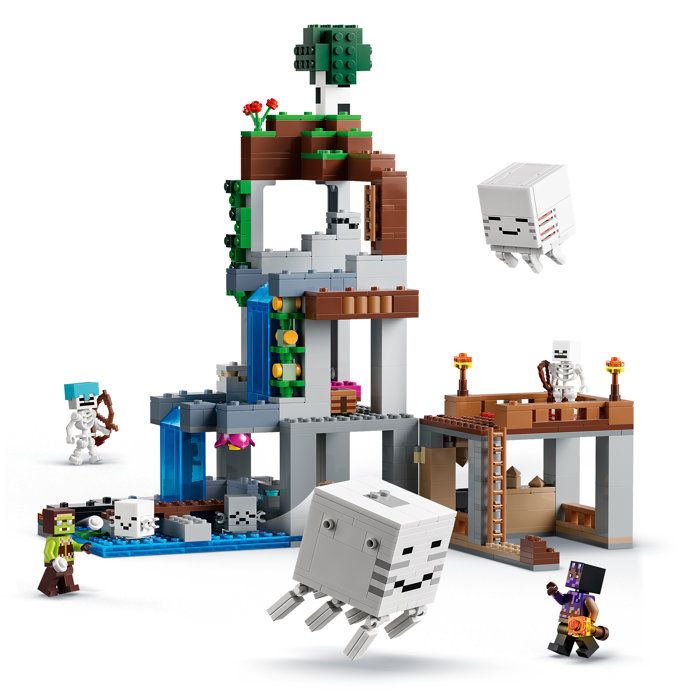 LEGO21597