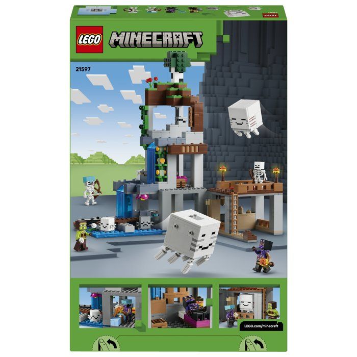 LEGO21597