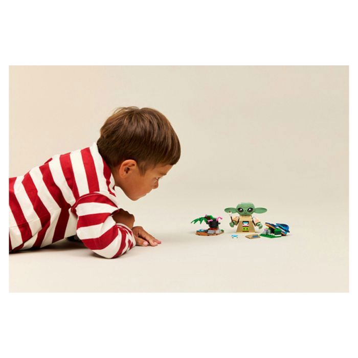 LEGO75443