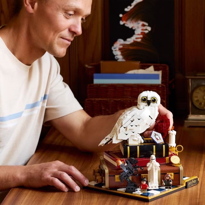 LEGO76466