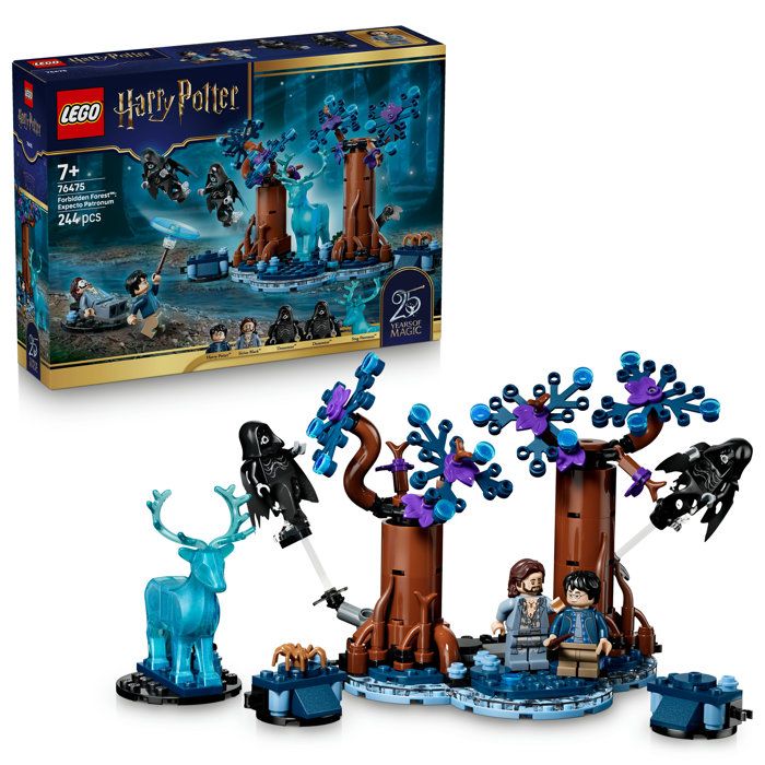 LEGO76475