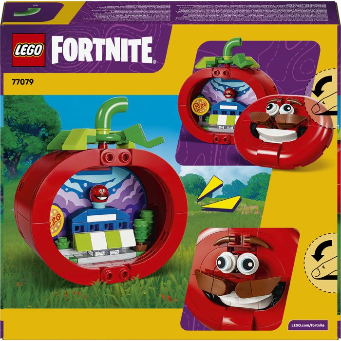 LEGO77079