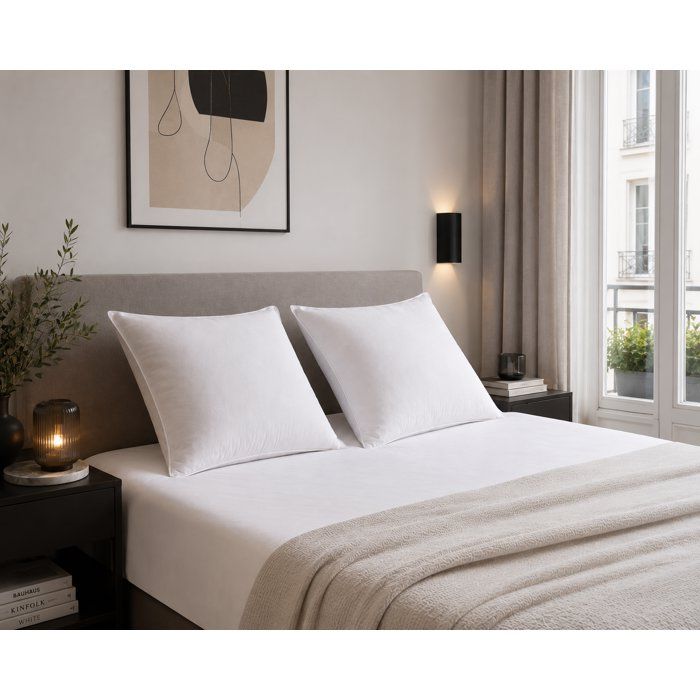 Set of 2 Microfiber Anti-Mite pillows 60x60cm