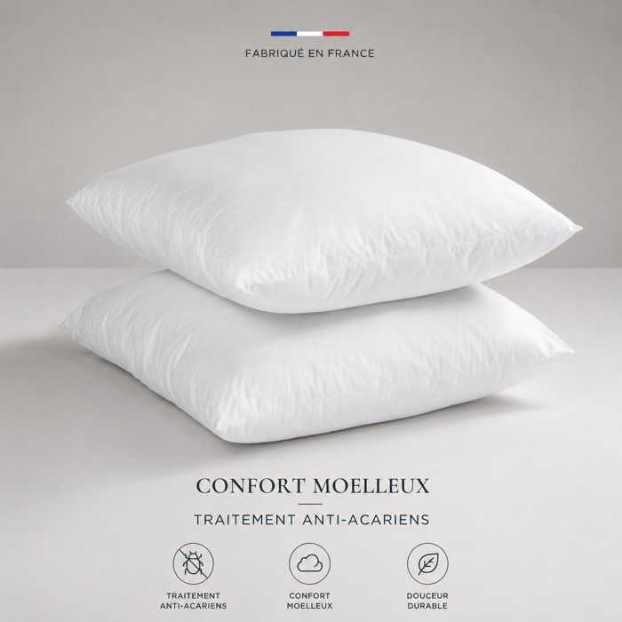 Set of 2 Microfiber Anti-Mite pillows 60x60cm