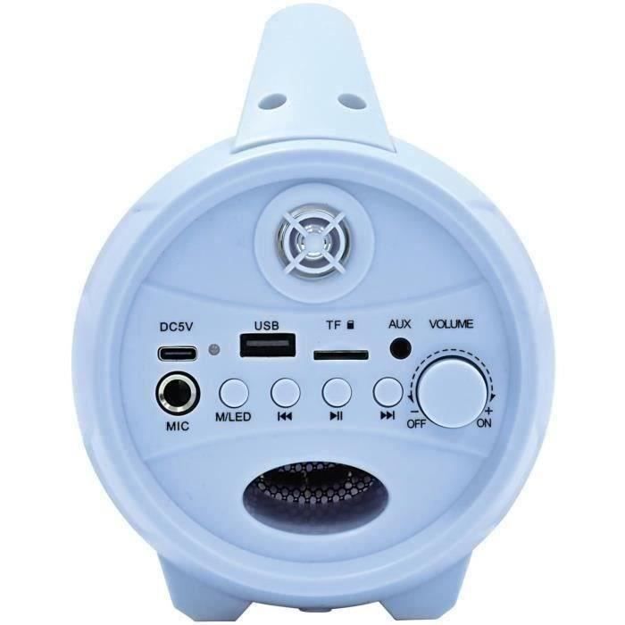 Frozen Wireless Bluetooth Speaker with Microphone