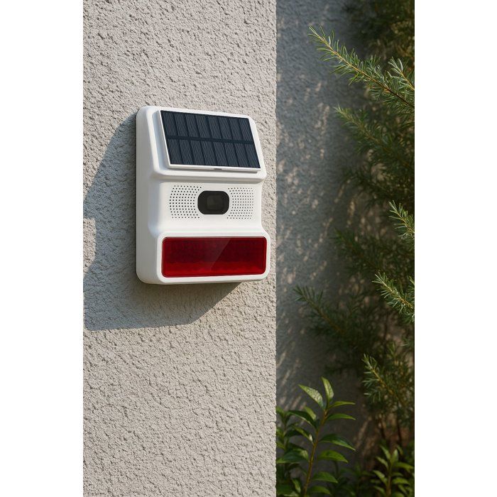 LIN4004282421337