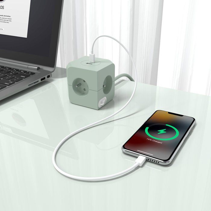 Power Strip with Dual USB Ports - LINK2HOME - 4 16A AC Outlets - 2 USB Ports - 3680 W Max - Green