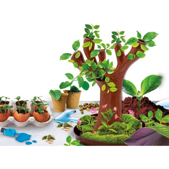 Génius Science - scientific game - botany - LISCIANI