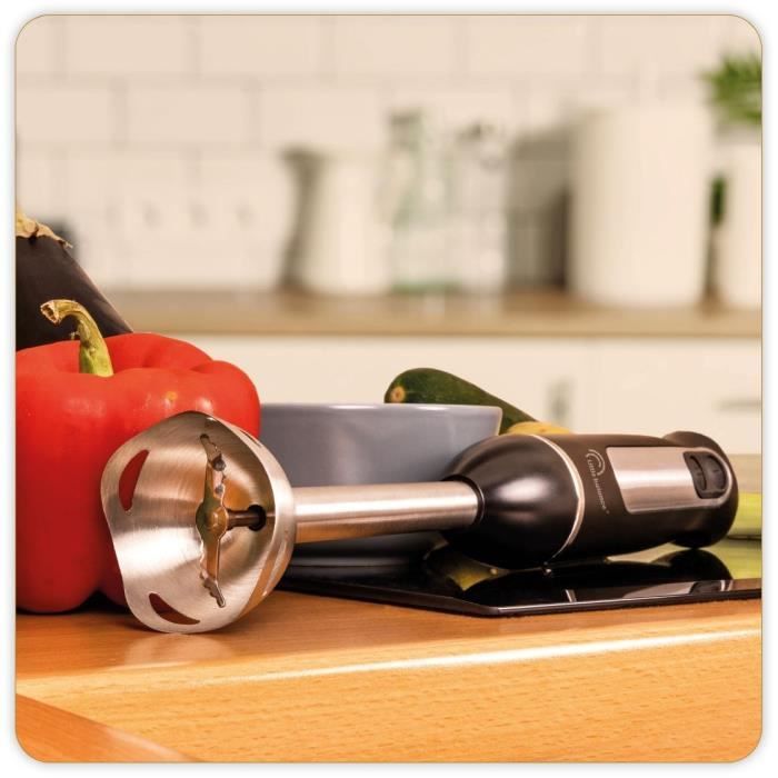 Speed Inox 600 hand blender