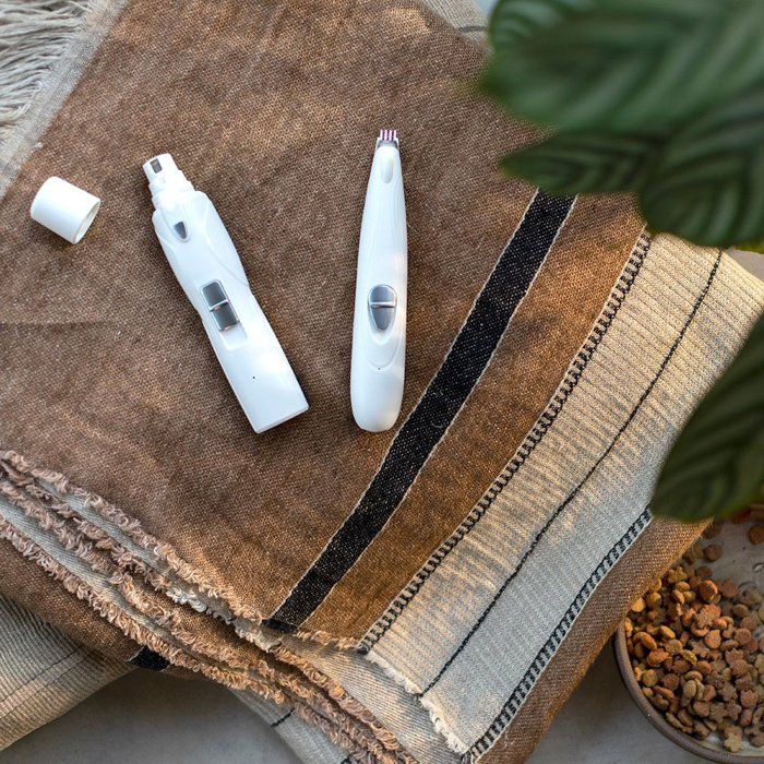 LIV1695174140497