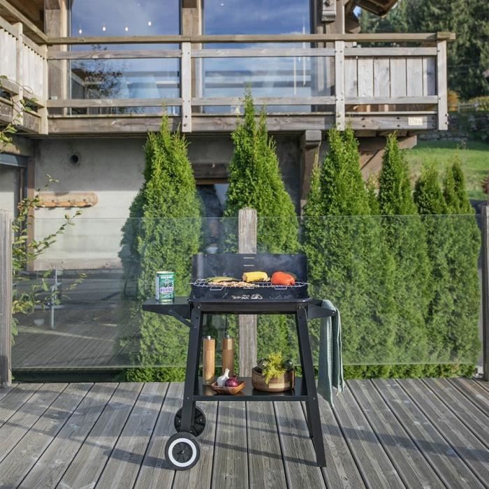 Charcoal barbecue - LIVOO - DOC328 - Stainless steel