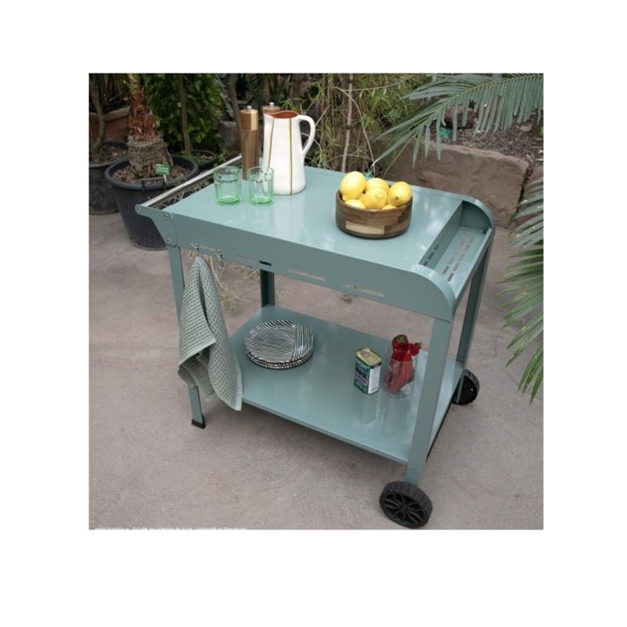 Plancha trolley - LIVOO - GS168V - Green / Black