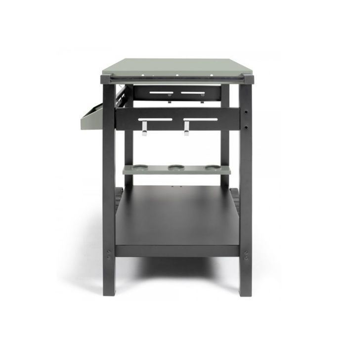 Plancha trolley - LIVOO - GS167V - Green / Black